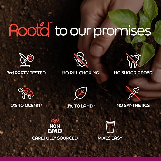 Root'd Multivitamin Powder with 3X Electrolytes for Women - 25 Vitamins & Minerals, 3X Electrolytes, 9 Organic Superfoods, Probiotics & Enzymes, Sugar-Free Multivitamin & Hydration | 24 Packets