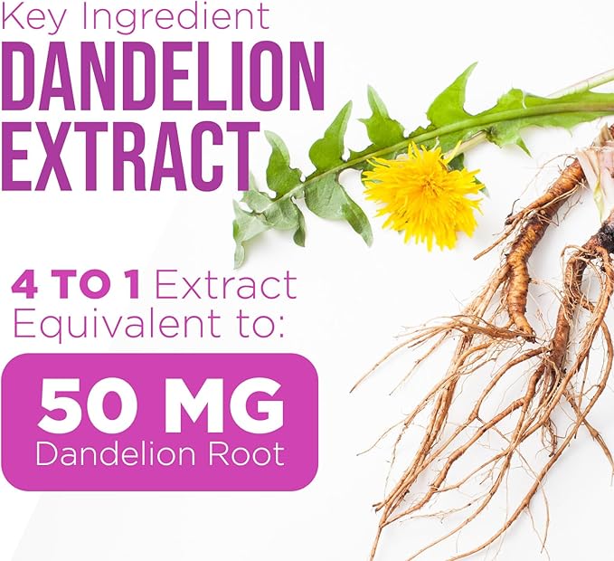 Milk Thistle Extract - Liver Cleanse Detox & Repair Formula with Dandelion Extract 1000mg - Herbal Liver Supplement - Nature's Milk Thistle w/Silymarin Marianum, Supports Liver Health - 120 Capsules