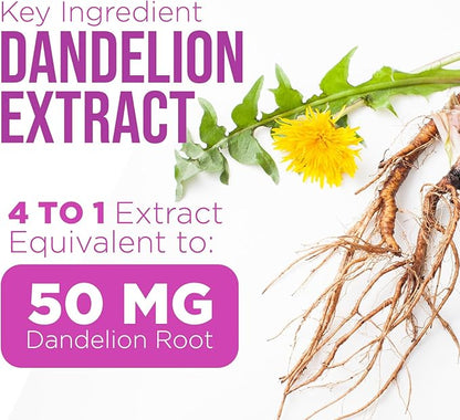 Milk Thistle Extract - Liver Cleanse Detox & Repair Formula with Dandelion Extract 1000mg - Herbal Liver Supplement - Nature's Milk Thistle w/Silymarin Marianum, Supports Liver Health - 120 Capsules