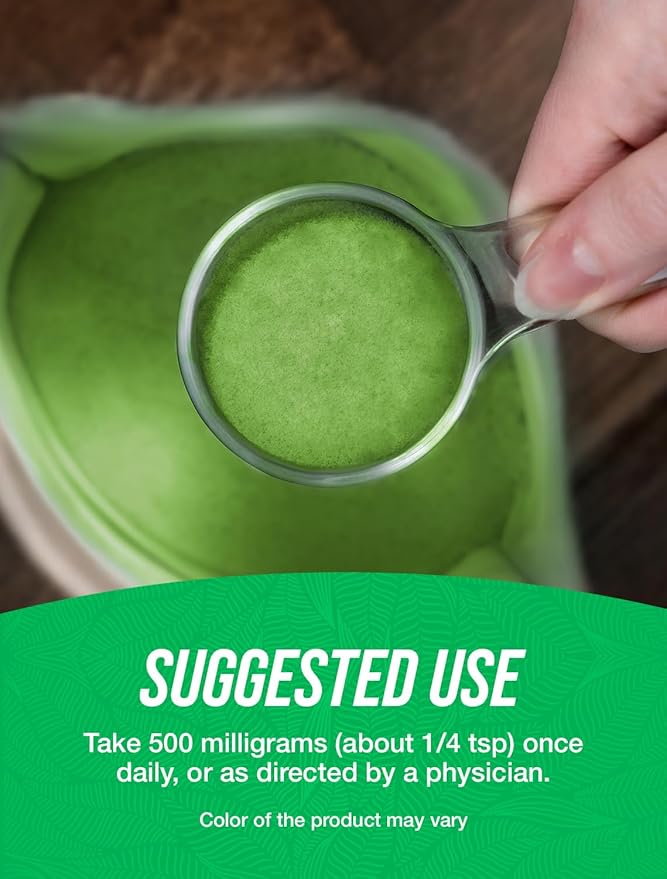 BulkSupplements.com Alfalfa Extract Powder - Greens Supplements - Green Superfood Powder - Alfalfa Powder Green Food (500 Grams 416 Servings)