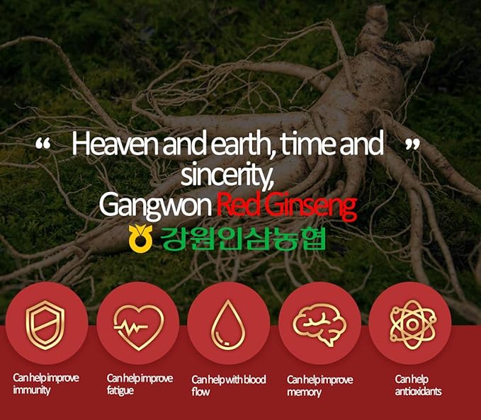 [Gangwoninsam] Korean Red Ginseng Tea (3g x 100 packets) – 6 Year Old Korean Red Ginseng, Korean Health Food, Individually Packaged (100)