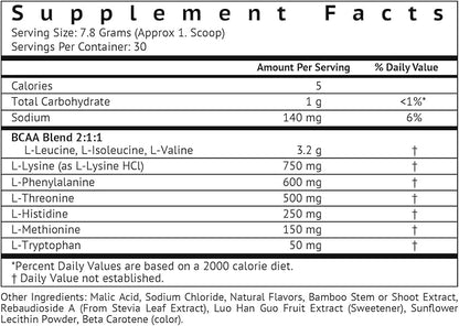 VitaMonk Clean EAA - EAAs with No Artificial Sweeteners for Pre-Workout, Energy and Recovery - Max Bioavailable EAA Powder with 9 Essential Amino Acids - Natural Lemonade Flavor