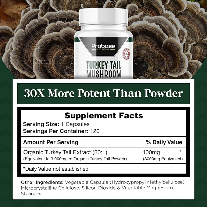 Premium Turkey Tail Mushroom Capsules Turkey Tail Supplement with Real Mushroom Extract Coriolus Versicolor 4 Month Supply 120 Capsules