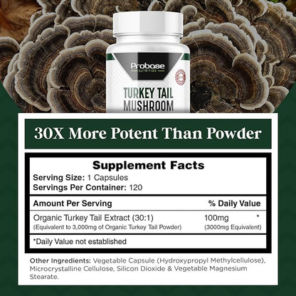 Premium Turkey Tail Mushroom Capsules Turkey Tail Supplement with Real Mushroom Extract Coriolus Versicolor 4 Month Supply 120 Capsules