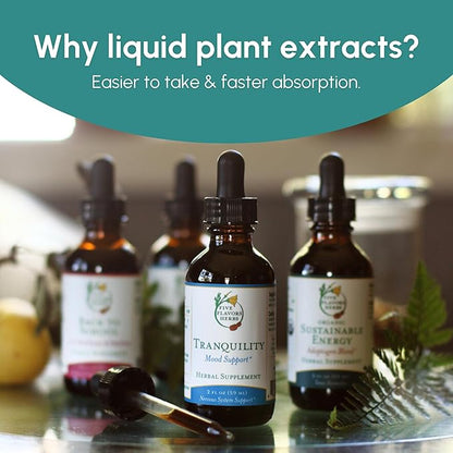 Astragalus Tincture - Immune System Support, Respiratory Support, Digestive System Support, Maca, Herbal Supplement - 2 Fl Oz