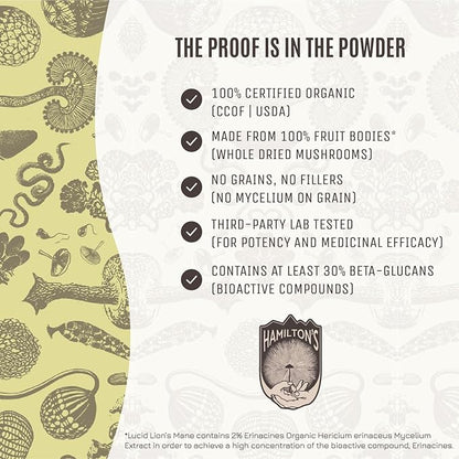 Hamilton’s Lucid Lion’s Mane | Organic Mushroom Extract Powder for Synapse Repair, Nerve Growth Factor, Focus, Memory, and Concentration | High Potency | 30% Beta Glucans | GF, Non-GMO, Vegan (500g)