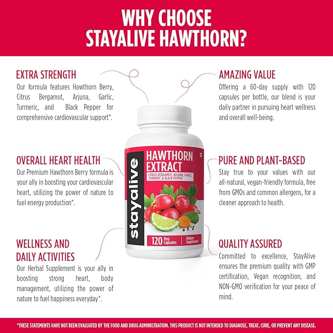 STAY ALIVE Extra Strength Hawthorn Berry Capsules, 20:1 Extract, 6-in-1 Antioxidant w/Citrus Bergamot, Turmeric Root Powder, Garlic, Arjuna & Black Pepper, 120 Vegan Pills, Hawthorne Berry Supplement