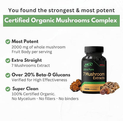 Organic Mushroom Supplement Extracts of Lions Mane Cordyceps Chaga Reishi Turkey Tail Maitake Shiitake Capsules - Natural Vitamins Minerals Antioxidants Supplement - Made in The USA