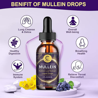 Mullein Leaf Extract Drops for Lungs - Lung Cleanse & Detox, Natural Mullein Leaf Liquid Drops, Support for Respiratory, Immune, Digestive System, Vegan, Non-GMO, Grape Flavor, 2 FL OZ