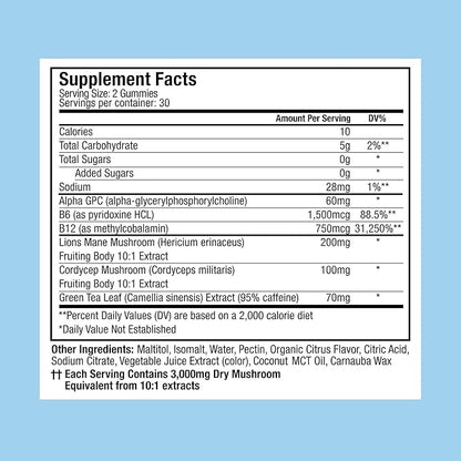 Plant People WonderFocus Mushroom Gummies with Lion’s Mane & Cordyceps - Nootropic Brain Supplement Boosts Memory, Focus, Energy & Mood in Adults | No Sugar, 100% Vegan, Citrus Flavor, 60 Count