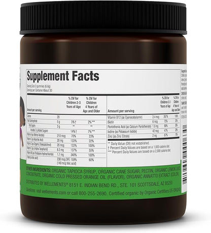 Wellements Organic Children's Multivitamin Gummies | Essential Kids Vitamins for Healthy Growth & Development* | Vitamin A, B, C, D, E + Zinc, No Artificial Colors | 3 Years +, 60 Ct