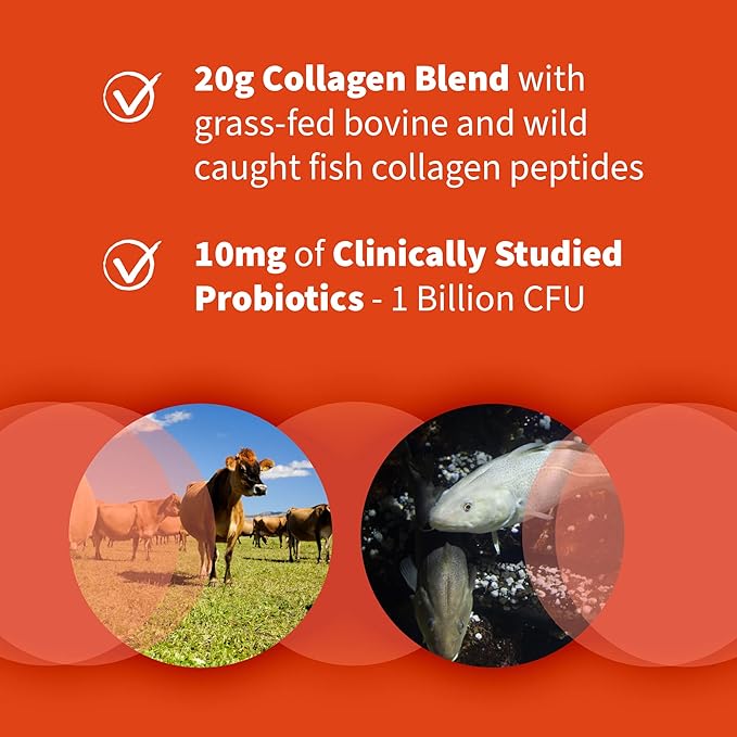 Garden of Life Marine & Grass-Fed Collagen Peptides Powder Supplement (Type I, III) with Probiotics & BCAAs for Mobility, Joint Health, Hair, Skin & Nails - Unflavored, 20g per Serving, 12 Servings