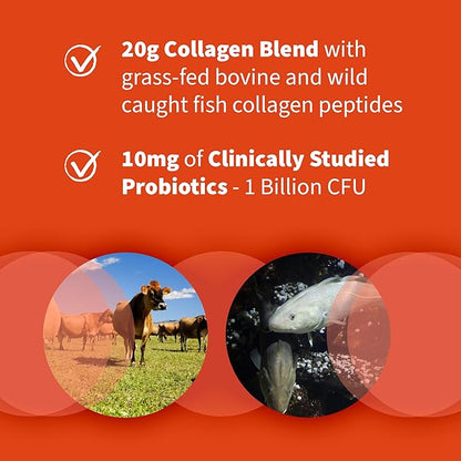 Garden of Life Marine & Grass-Fed Collagen Peptides Powder Supplement (Type I, III) with Probiotics & BCAAs for Mobility, Joint Health, Hair, Skin & Nails - Unflavored, 20g per Serving, 12 Servings
