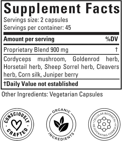Doctor Morse's Kidney & Bladder Daily Cleanse - Support Urinary Tract Health & Elimination of Lymph - Organic & Naturopath Formulated - Cordyceps Mushroom, Juniper Berry, Horsetail Herb - 90 Capsules