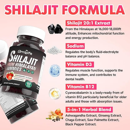 2PCS Pure Himalayan Shilajit Gummies for Men & Women, 1000MG Shilajit Supplement with 85+ Trace Minerals & Fulvic Acid for Energy, Immunity, Sugar-Free, Strawberry-120 Count