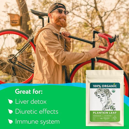 Super Value Pack 5 LB – Organic Plantain Leaf Tea (Plantago Major) – Natural Respiratory Support - Loose Leaf Tea for Soothing, Digestive & Immune Benefits