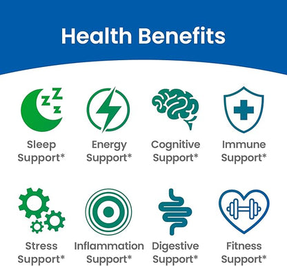 ENCAPSULATE 6 Mushroom Blend – Reishi, Chaga, Turkey Tail, Cordyceps, Lion’s Mane & Shiitake 8:1 Mushroom Extract – Nootropic & Adaptogen Mushroom Supplement for Gut, Brain & Immune Support - 120 Caps