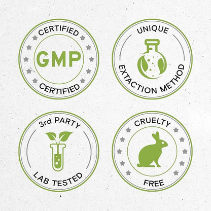 Secrets of the Tribe Chlorella Tincture Alcohol-Free Liquid Extract, Chlorella (Chlorella vulgaris) Dried Algae (2x4 FL OZ)