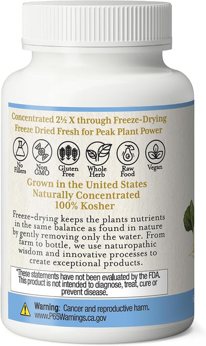 Eclectic Institute Raw Freeze-Dried Goldenseal Capsules | 100 CT