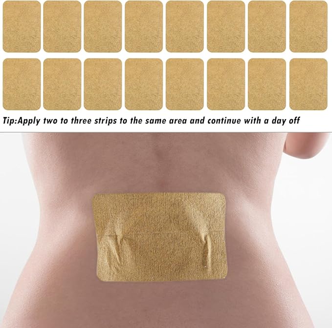 100 Packs Ginger Pad,Herbal Ginger Patches,Traditional Medicine Herbal Paste for Body
