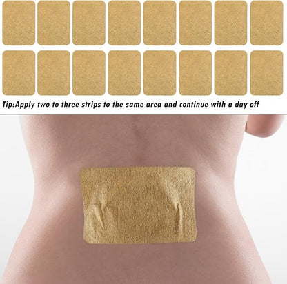 100 Packs Ginger Pad,Herbal Ginger Patches,Traditional Medicine Herbal Paste for Body