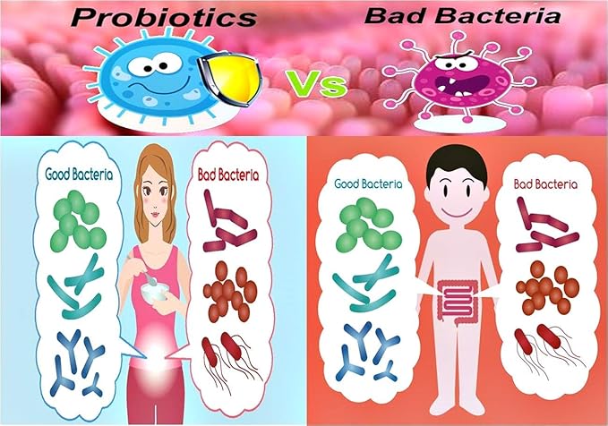 Multi-Strain Progressive 55+ 42 Billion Probiotics per Capsule-60 VCaps