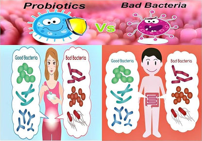 Multi-Strain Progressive 55+ 42 Billion Probiotics per Capsule-60 VCaps