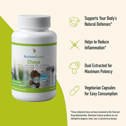 Chaga Mushroom Capsules, Full Spectrum Extract, Natural Antioxidant Mushroom Supplement for Adults, Health Support, Hot Water Extracted Mushrooms, Vegetarian, 300MG, 90 CT
