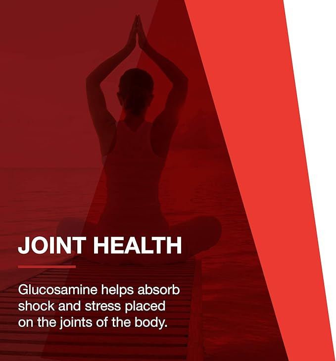 Protocol Glucosamine & Chondroitin with MSM - Joint Support* - Chondroitin MSM Supplement - Non-GMO & Dairy Free - 180 Veg Caps