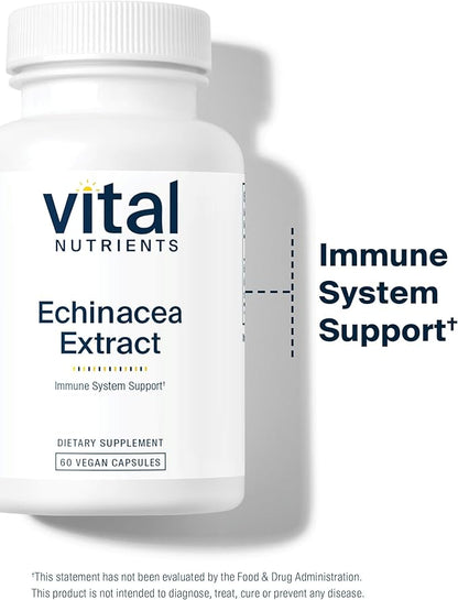 Vital Nutrients Echinacea Extract 1000mg | Vegan Echinacea Immune Support Supplement | Gluten, Dairy, Soy Free | Non-GMO | 60 Capsules