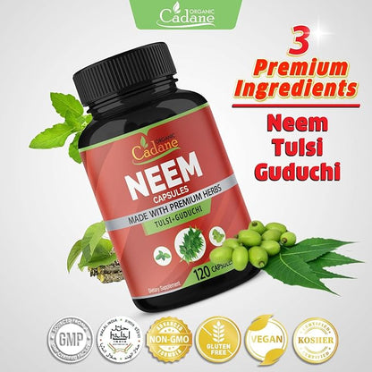 Organic Cadane Neem Leaf Supplements Capsules, 3in1 with Holy Basil Tulsi, Guduchi, 120 Vegetable Capsules | Supports Immune System | Fresh Pure Powder Leaves Herbs