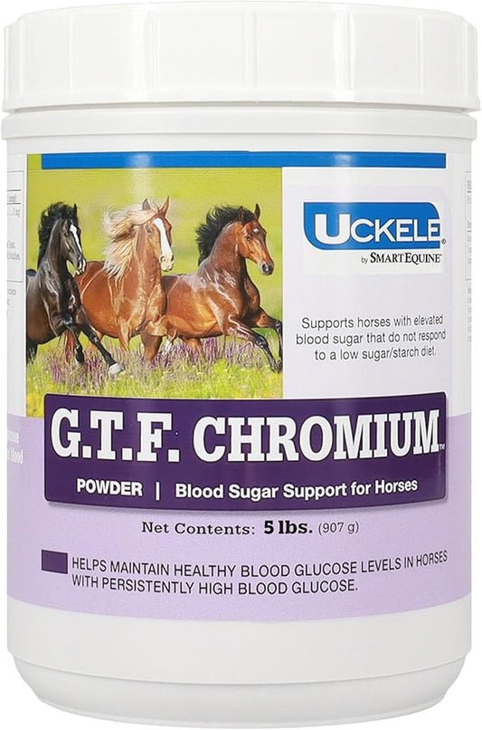 Uckele by SmartEquine GTF Chromium® Powder | Horse Metabolic Supplements, Supports Metabolic Function | 5 lb Bucket