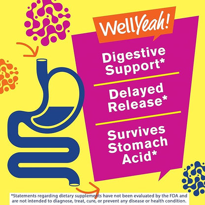 (2 Pack 25 Billion Probiotics + Prebiotics for Men and Women Gummies - Digestive Support, Gut Health, Immune Support Gummy - Probiotics for Digestive Health with 12 Strains - 60 Gummies