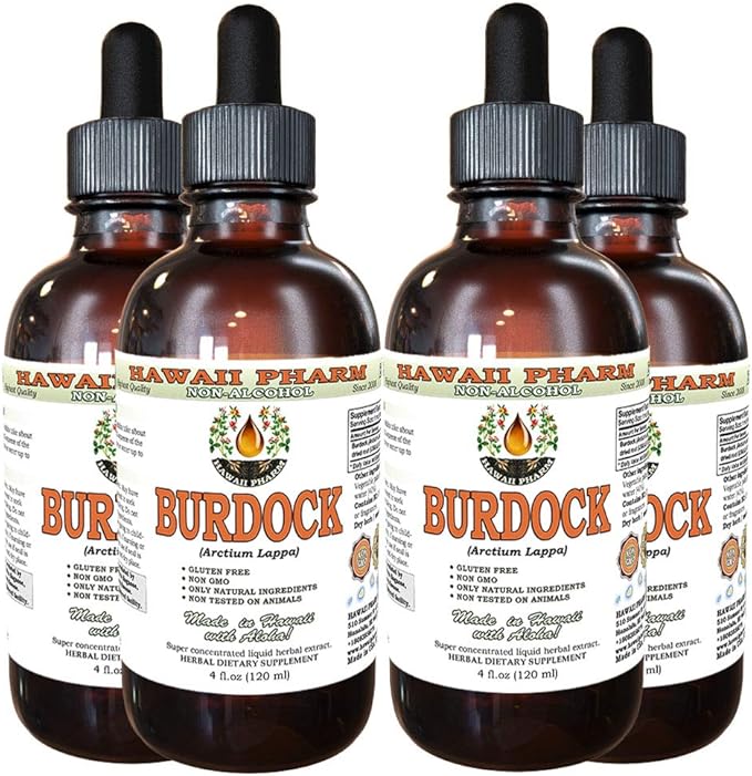 Burdock Alcohol-Free Liquid Extract, Organic Burdock (Arctium Lappa) Dried Root Glycerite Hawaii Pharm Natural Herbal Supplement 4x4 oz