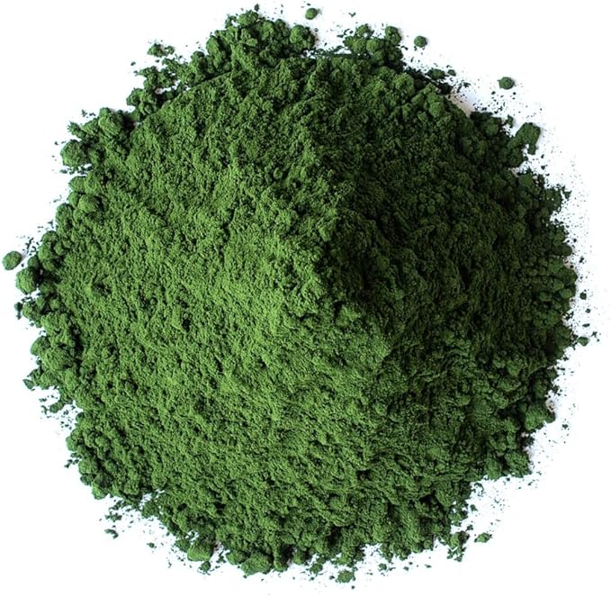 Food to Live Organic Chlorella Powder, 8 Ounces — Non-GMO, Kosher, Raw Green Algae, Vegan Superfood, Bulk, Pure Vegan Green Protein, Rich in Vitamins and Minerals, Great for Drinks, Broken Cell Wall