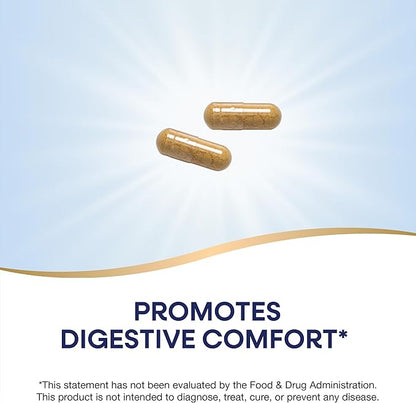 Nature's Way Ginger Root, Promotes Digestive Comfort*, Reduces Motion-Related Nausea*, 1,100 mg Per 2-capsule Serving, Non-GMO Project Verified, Vegan, 240 Capsules