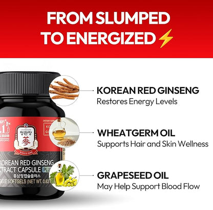 Renewed Korean Red Ginseng Extract Capsule Plus - All-in-One Vegan Supplements - Energy Boost & Immune Support, Caffeine Free & Non-GMO (600mg, 30 Capsules)