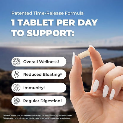 Balance ONE Probiotics for Women & Men – 15x Better Survivability vs Capsules – 15 Billion CFU Probiotic for Gut Health – 12 Strains Lactobacillus Plantarum, Acidophilus & Salivarius – 60 Tablets