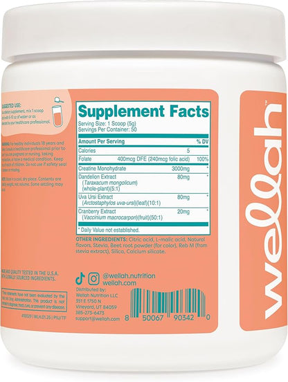 Pump-It-Up Creatine (50 Servings, Tropical Punch) - Creatine Monohydrate with Dandelion, Uva Ursi, & Cranberry Extract
