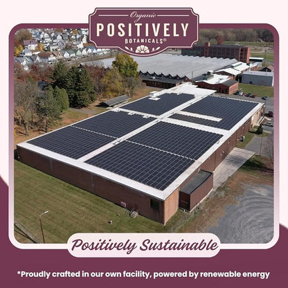 Organic Positively Botanicals Company, Milk Thistle Herbal Tea Bags, 20 Count