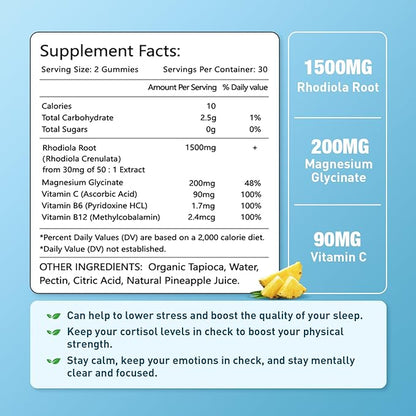 2 Pack Sugar-Free Rhodiola Rosea Gummies, Adaptogenic Rhodiola Rosea Supplement & Cortisol Blocker for Enhanced Stamina, Mood Elevation, and Motivation Boost, Non-GMO, Vegan, 120 Count