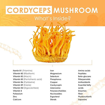 Cordyceps Powder - Performance Mushroom Extract with Organic Cordyceps Mushroom Extract Powder for Energy, Stamina & Endurance Support 60g