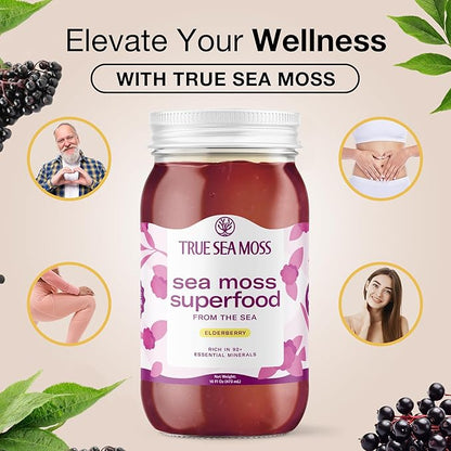 TrueSeaMoss Sea Moss Gel – Made in USA – Wildcrafted Seamoss, Fresh Fruits & Sea Vegetables – Elderberry, Pack of 1 (Labels may Vary)