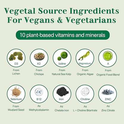 Vegan Multivitamin for Women & Men with Methyl Vitamin B12, D3 K2, Plant Based Omega 3 (DHA+EPA), Iron, Choline, Zinc, Whole Food Daily Vitamins Gummies for Vegans & Vegetarians, Sugar Free, 60 Counts