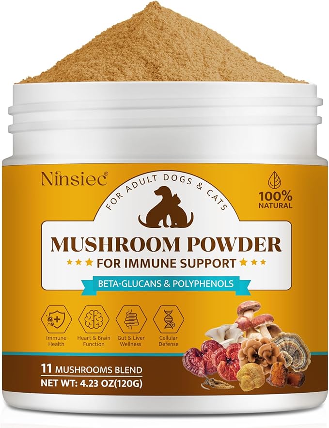Organic Mushroom Supplement Powder for Dogs & Cats – 11 Mushroom Complex with Turkey Tail, Reishi & Cordyceps, Supports Lipoma, Lumps & Bumps Relief, Immune & Skin Health, 120g