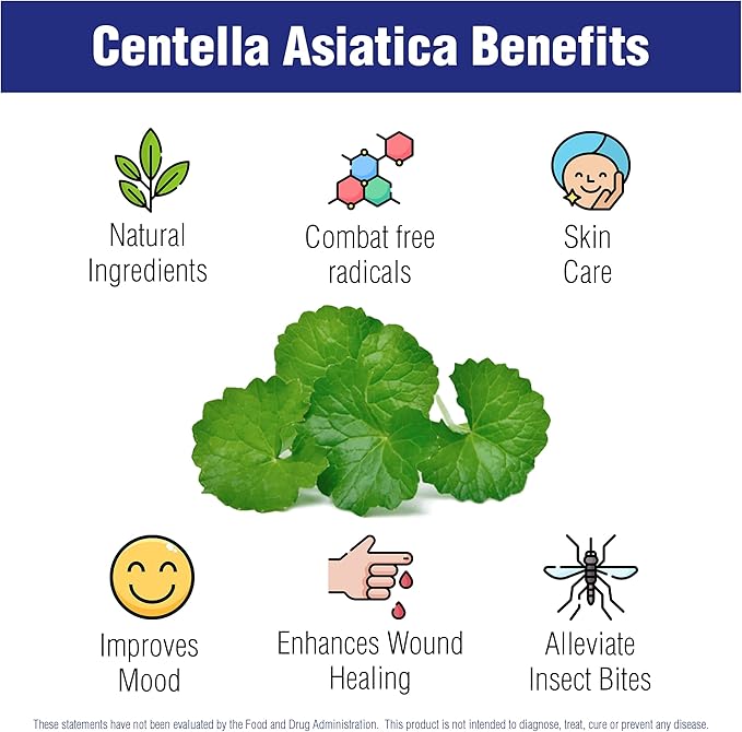 Centella Asiatica 500 mg 60 Capsules by Natural Systems - Gotu Kola Herb Moisturizer for Your Skin - Extract Also Beneficial for Calming Mind Tiredness