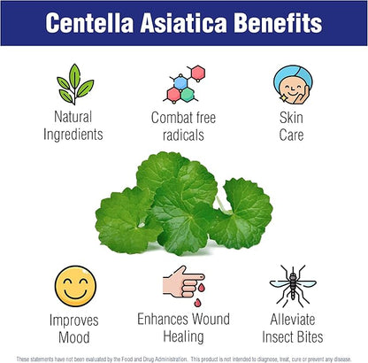 Centella Asiatica 500 mg 60 Capsules by Natural Systems - Gotu Kola Herb Moisturizer for Your Skin - Extract Also Beneficial for Calming Mind Tiredness