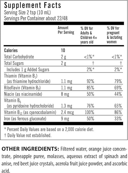 Flora Iron - Vegan Liquid Iron Supplement with B Vitamins - Offers Red Blood Cell & Energy Support - Yeast-Free & Gluten-Free - Delicious Fruit Juice Base - 7.7 fl. oz. Glass Bottle