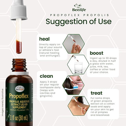 Beelife Propoflex Green Propolis Extract - No Alcohol Bee Propolis Tincture, High Artepillin-C Levels - Antioxidant-Rich Liquid Supplement for Wellness - Natural & Kosher - Made in Brazil, 1 Fl. Oz.