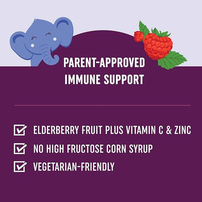 Elderberry Gummies for Kids | 3-In-1 Healthy Immune Support With Vitamin C & Zinc | For Ages 4+ | Designed for Ultimate Health & Wellness | Gluten-Free, Non-GMO, Natural Flavors | 60 Gummies